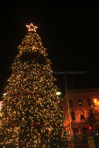 CHRISTMAS TREE - LAUNCESTON - TASMANIA