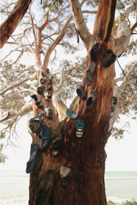 TREE OF SHOES - BRIDPORT - TASMANIA